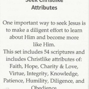 Preach My Gospel Ch. #6