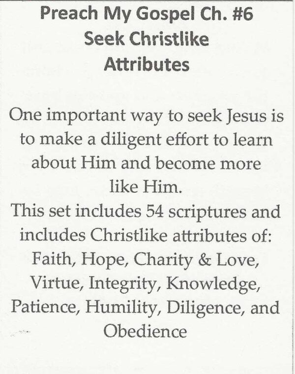 Preach My Gospel Ch. #6